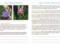2018 Summer Appeal_Digital_Page_5