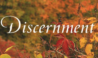 nov14_leaves_discernment