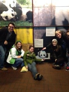 Sarah visiting baby panda Bao Bao at the National Zoo with friends James (who now lives in Texas), Bridget (FMS Communications Manager), Deanna (who now lives in California) and Mark (who now lives in New Hampshire).